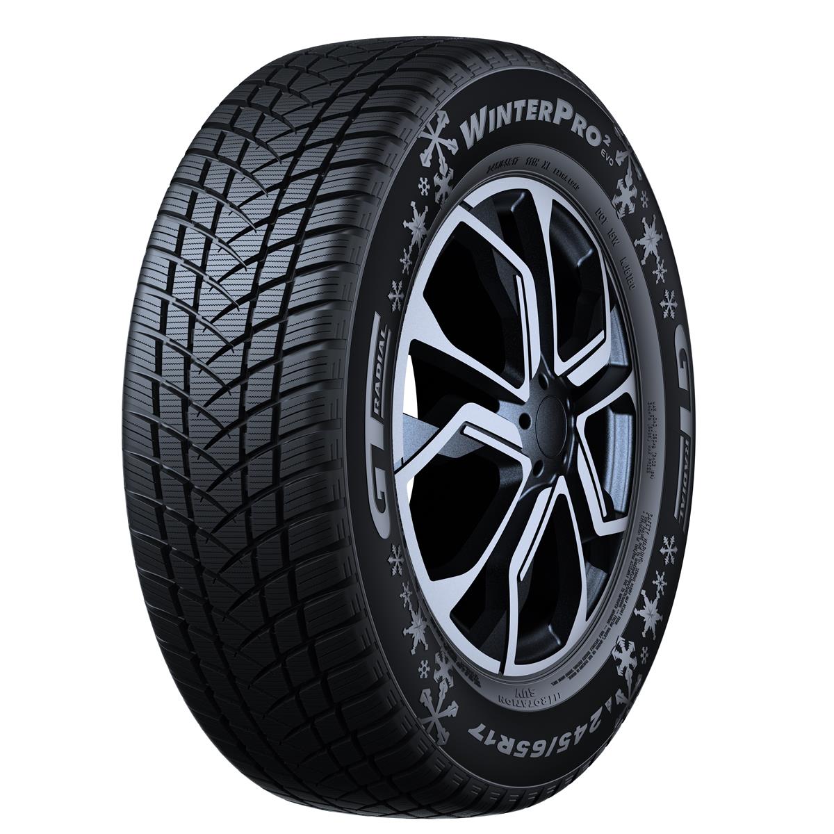 WINTERPRO 2 (EVO)