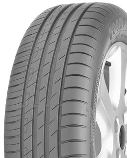 GOODYEAR EfficientGrip Performance 205/55R19 97V XL