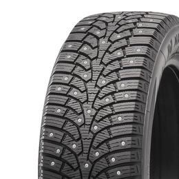 NANKANG SW-9 205/55R16 94T XL