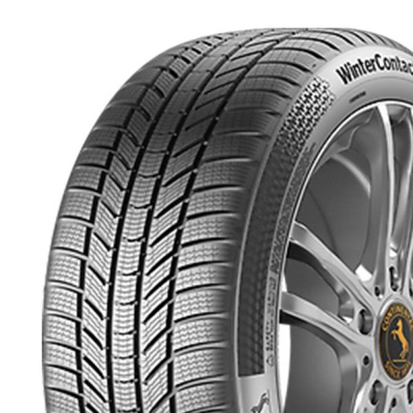 CONTINENTAL WinterContact TS 870 P 255/45R21 106V XL RP