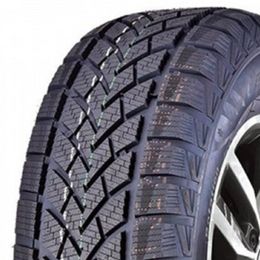 WINDFORCE SNOWBLAZER 205/55R16 91H